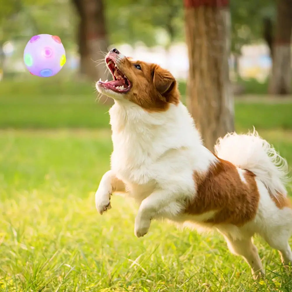 PGB - Pup Soccer Glowing Ball