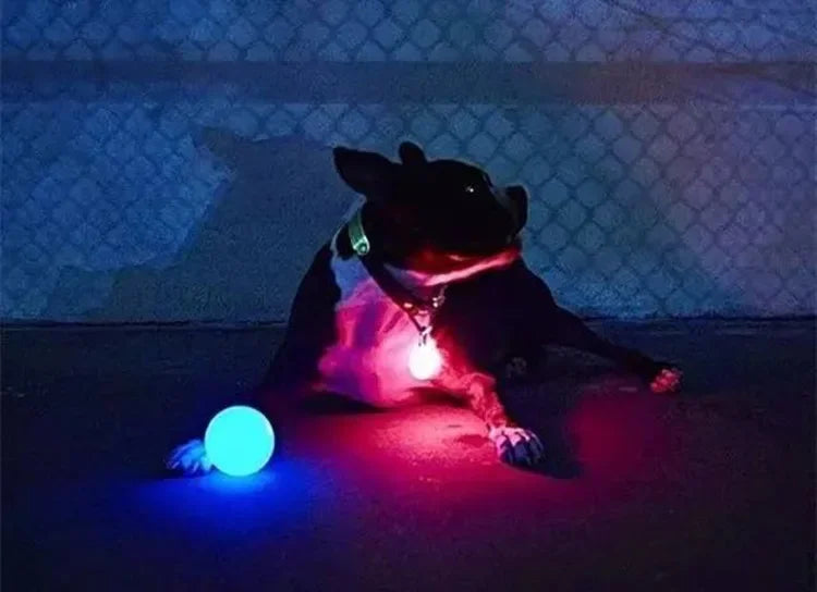 PGB - ✨ Pup Glow Ball ✨