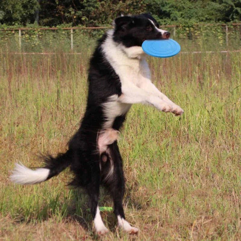 PGB - Pet Dog Flying Discs Toy